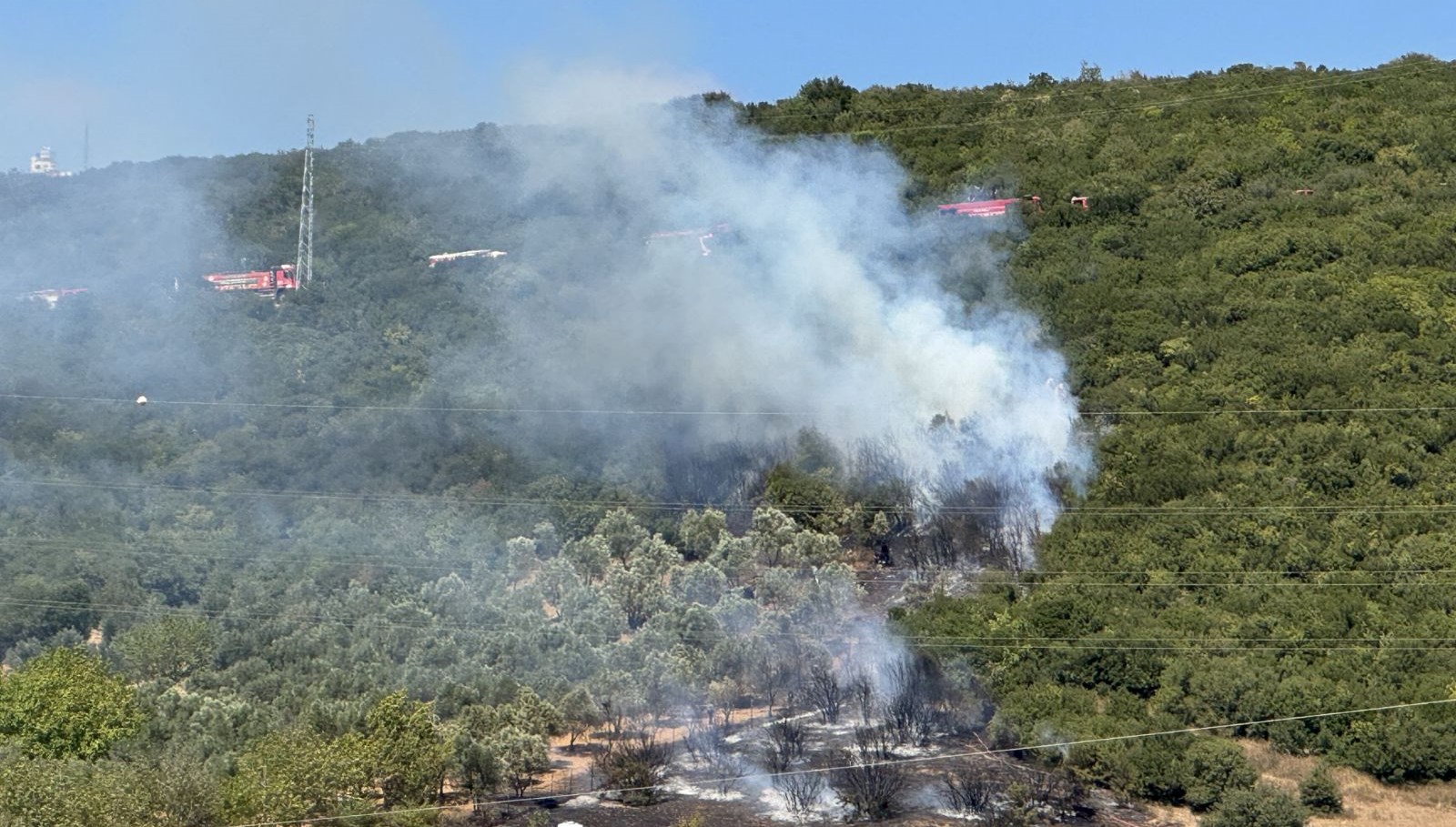 kocaelide agaclik alanda yangin AzhfXNJZ