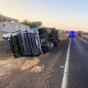 siverekte hayvan yuklu tir devrildi 2 yarali kkRJvmvK