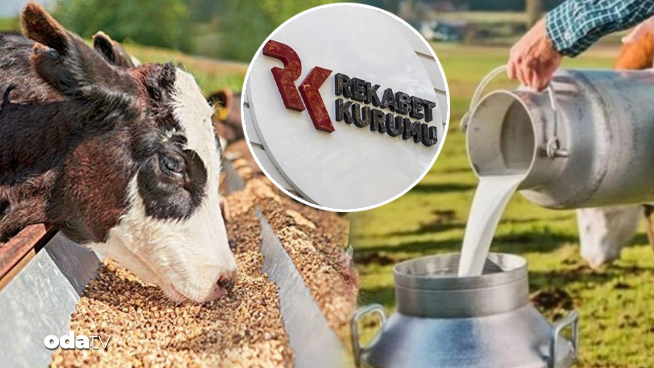 39 sut sanayicisine sut karsiligi yem sorusturmasi dCl8yWL6