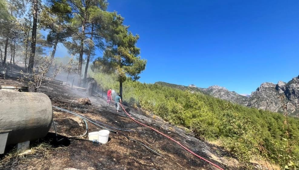 adanada orman yangini mudahale suruyor xb9OWFrZ