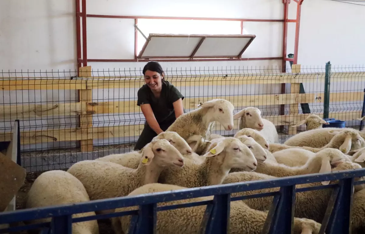 genc veterinerin basarili girisimi lHfwaqkO