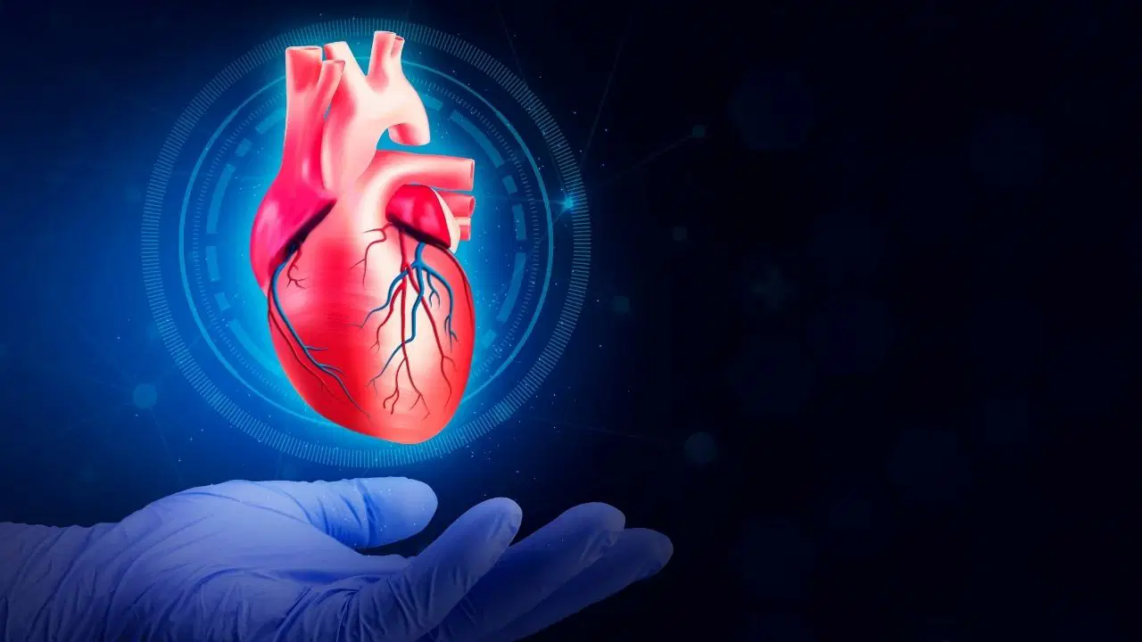 kalp sagligi icin hangi besinler tuketilmeli hangilerinden uzak durulmali X8le7hE5