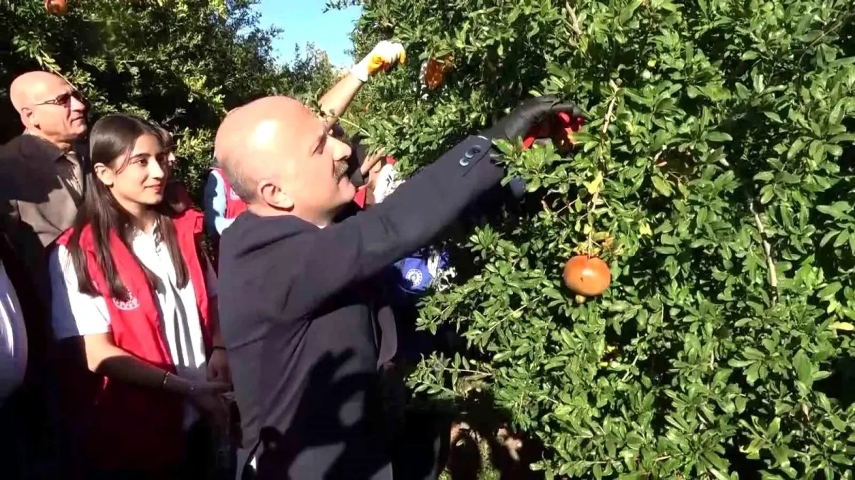 adiyamanda nar hasadi basladi gYv6KOrJ.jpg