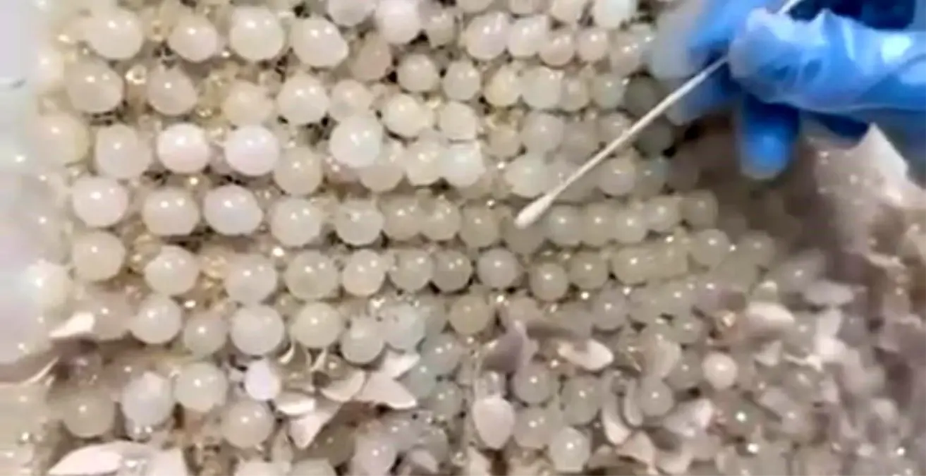 kayseride gelinlik icine gizlenmis 25 kilo uyusturucu ele gecirildi MQfLKbWS