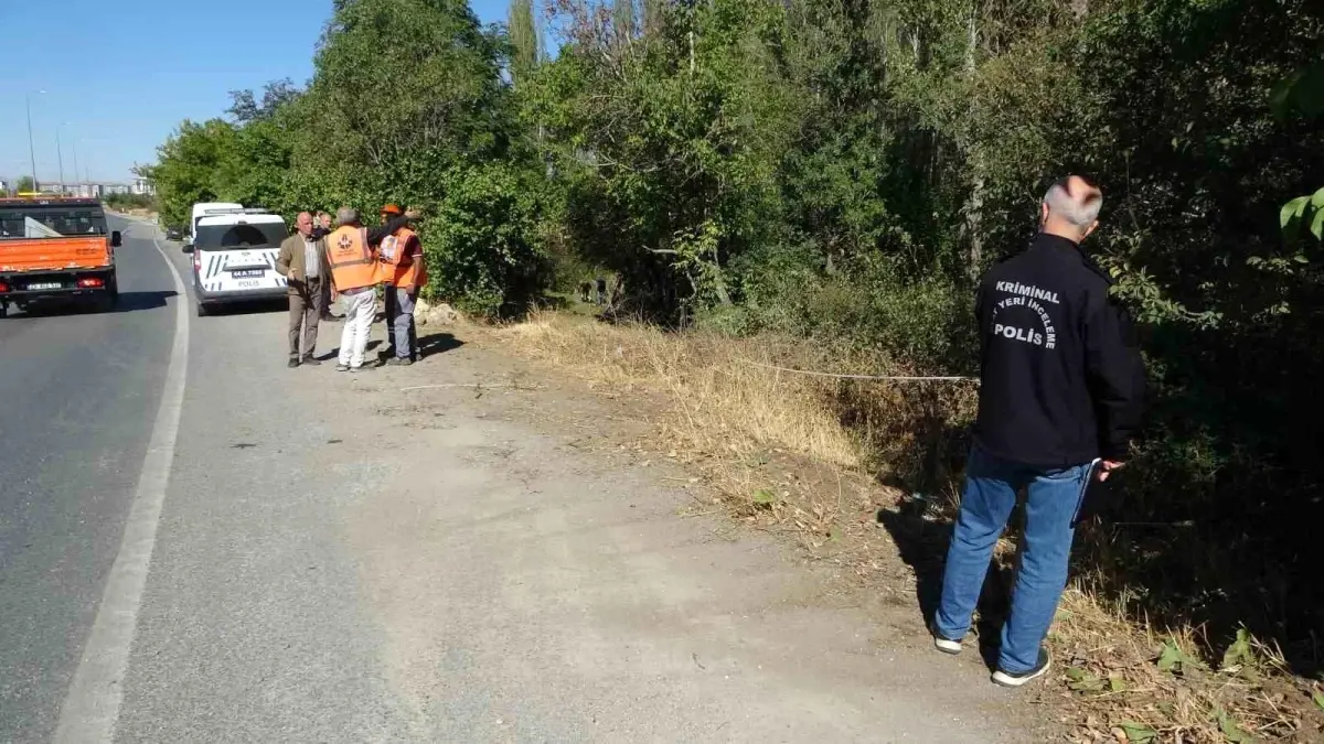 malatyada otomobil kayisi bahcesine uctu 1 yarali 3KSJzcEa.jpg