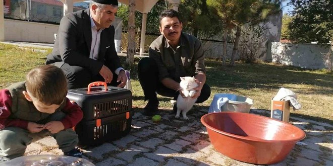 sahip ciktigi kedileri legende yikayan imam hayvan sevgisiyle ornek oluyor sOZ9IIJE.jpg