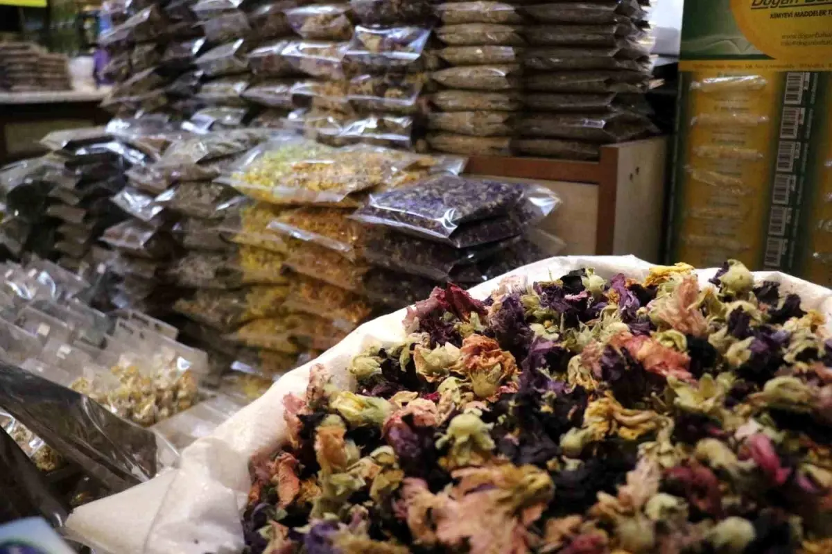 sakaryada soguk alginligina karsi aktarlara yogun ilgi u9phdhHQ