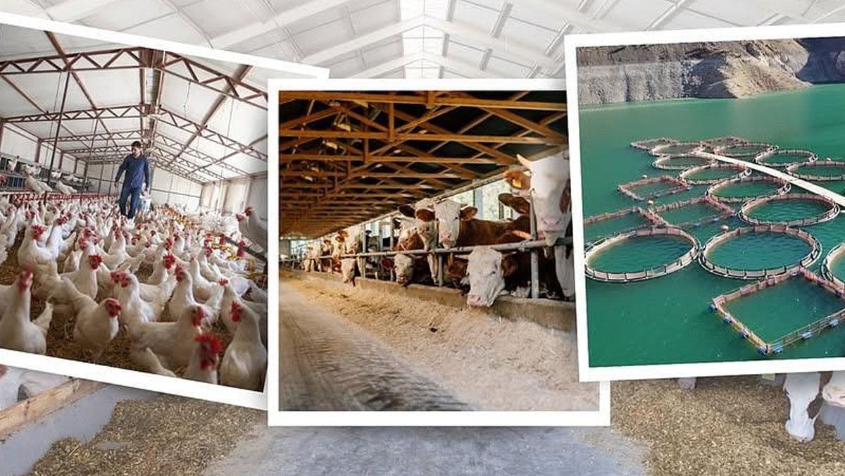 tkdknin 10 basvuru cagri ilani yayimlandi sBzNqAec