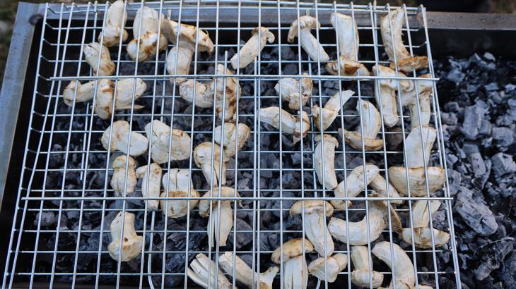 kilosu etle yarisiyor japonlarin gozdesi sedir mantari cikti DrcYMg8N.jpg