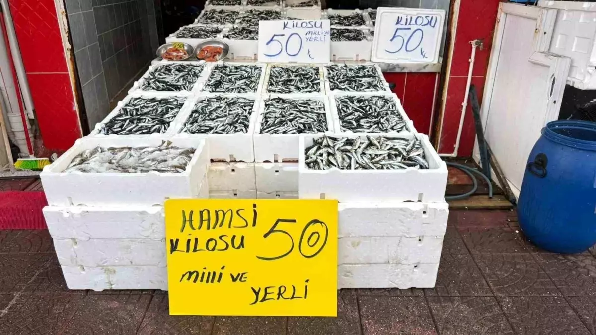 rizede hamsi fiyati 50 tl t1VOaVPY.jpg