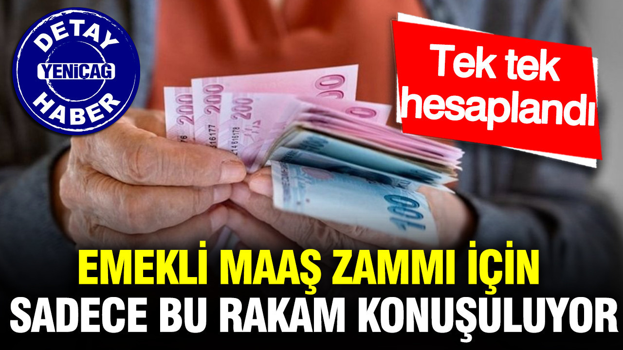 Emekli Maaş Artışı İçin Beklenen Rakamlar Belirleniyor: Hesaplamalar Tamamlandı