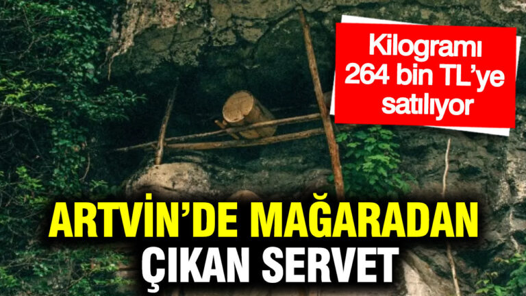 artvinde-magaradan-cikan-servet-kilogrami-264-bin-tlye-satiliyor-ibLPbIRA