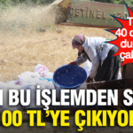 Fiyati bu islemden sonra 100 tlye cikiyor tarlada 40 derecede durmadan calisiyorlar LPI1SpqZ