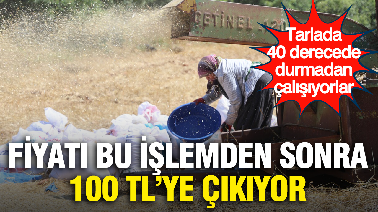 Fiyati bu islemden sonra 100 tlye cikiyor tarlada 40 derecede durmadan calisiyorlar LPI1SpqZ