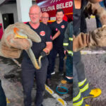 Yilanin feribot yolculugu arabali vapurla yalovaya gecti xSYamgFM